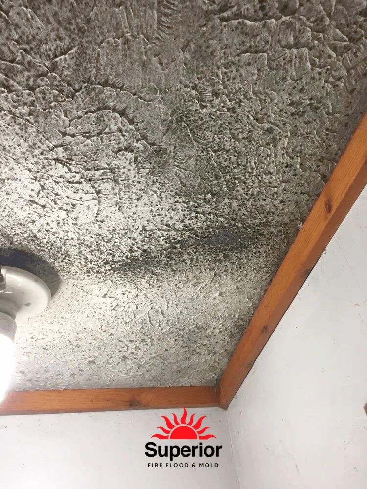 The Hidden Danger of Mold in Textured (Popcorn) Ceilings. Why You Shouldn't Clean It Yourself